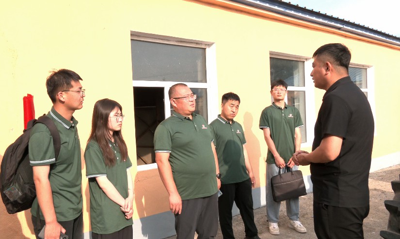 鸡东:黑龙江科技大学,黑龙江建筑职业技术学院来我县开展大学生"三